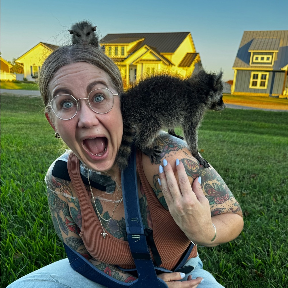 Meet your Posher, Dara